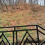 Brb Park Vizhenka