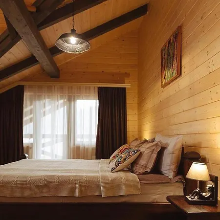 Brb Park Hotel Vizhenka