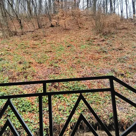Brb Park Vizhenka